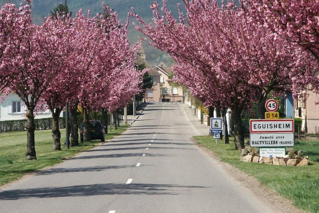 Gite A Eguisheim Proche De Colmar Et Kaysergberg. Екстер'єр фото
