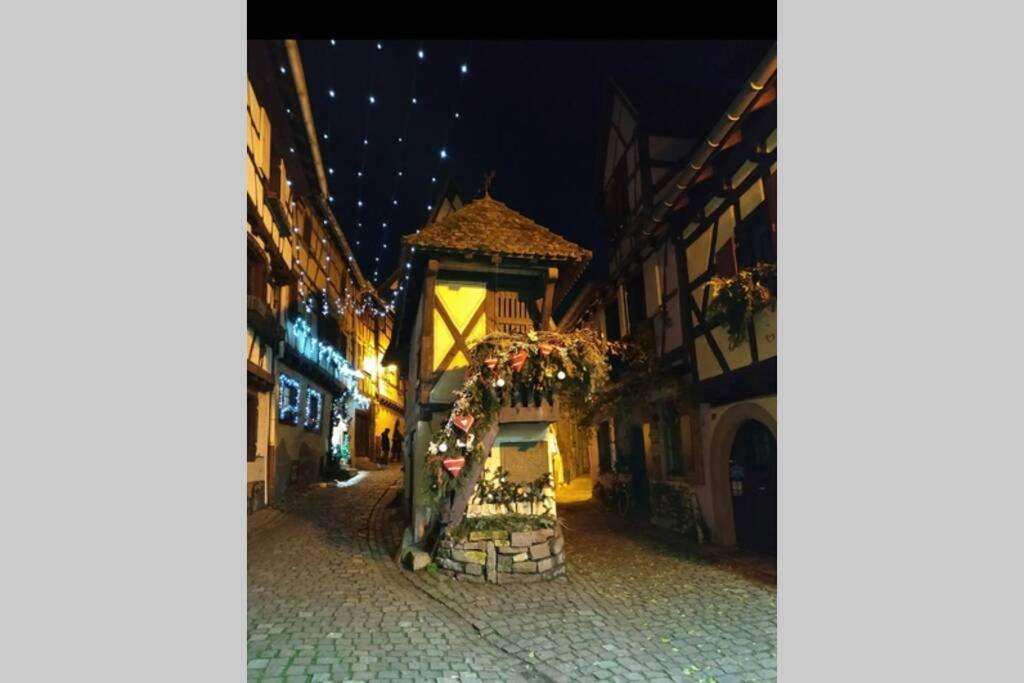 Gite A Eguisheim Proche De Colmar Et Kaysergberg. Екстер'єр фото