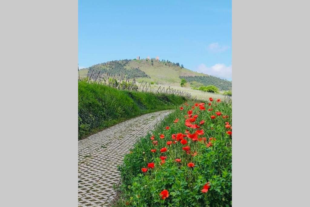 Gite A Eguisheim Proche De Colmar Et Kaysergberg. Екстер'єр фото