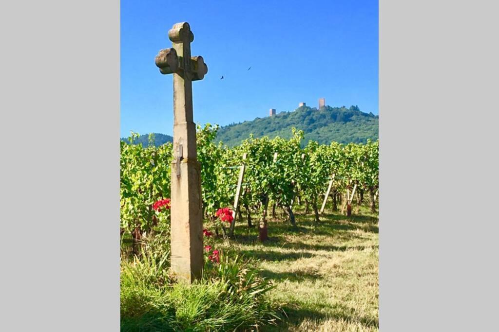 Gite A Eguisheim Proche De Colmar Et Kaysergberg. Екстер'єр фото