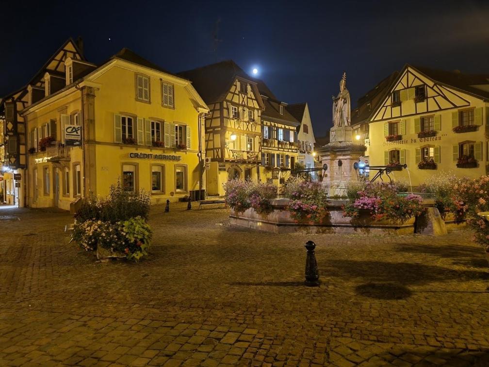 Gite A Eguisheim Proche De Colmar Et Kaysergberg. Екстер'єр фото